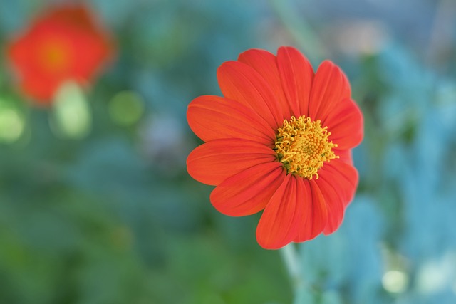 后的市场恢 后的市场恢