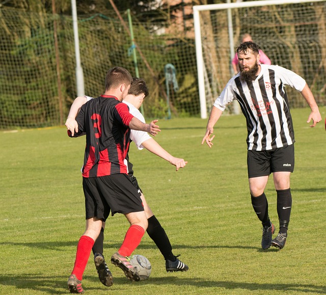 作为一个地 作为一个地